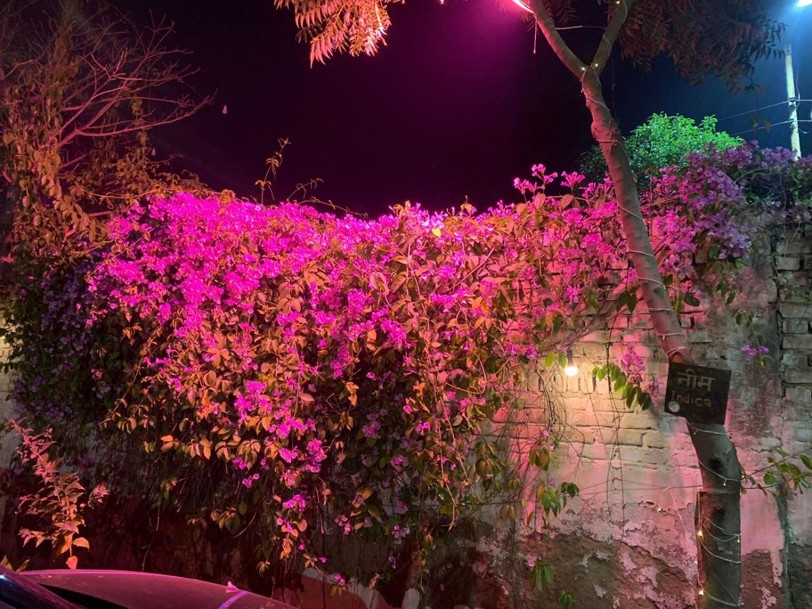 Nature Resort Agra  Exteriör bild