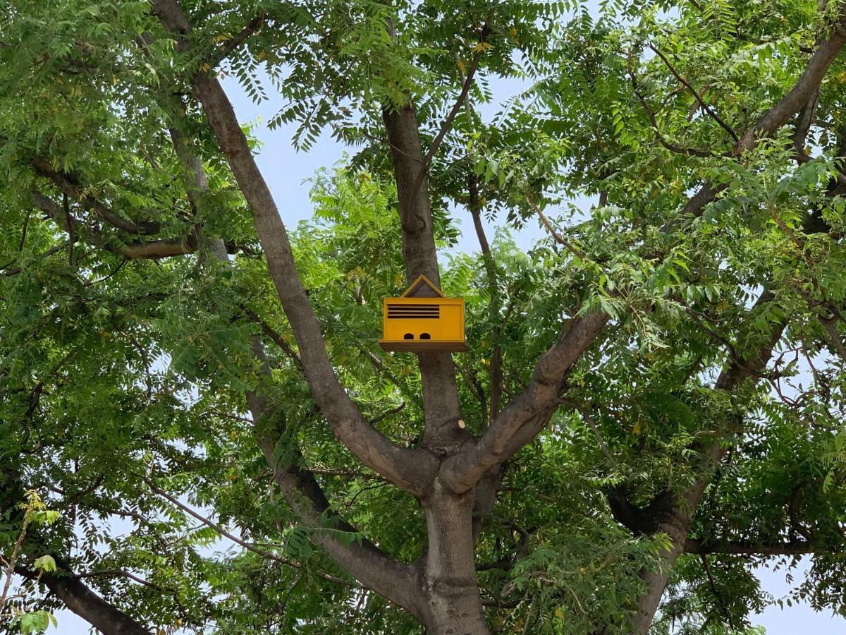 Nature Resort Agra  Exteriör bild
